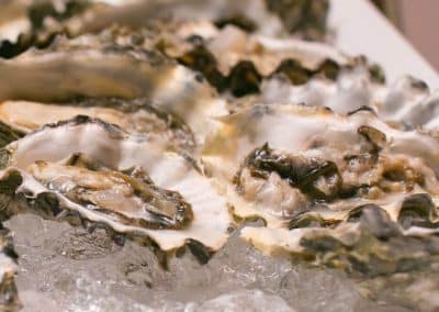 Chefs Table Dignity Health Party | a group of oysters on ice